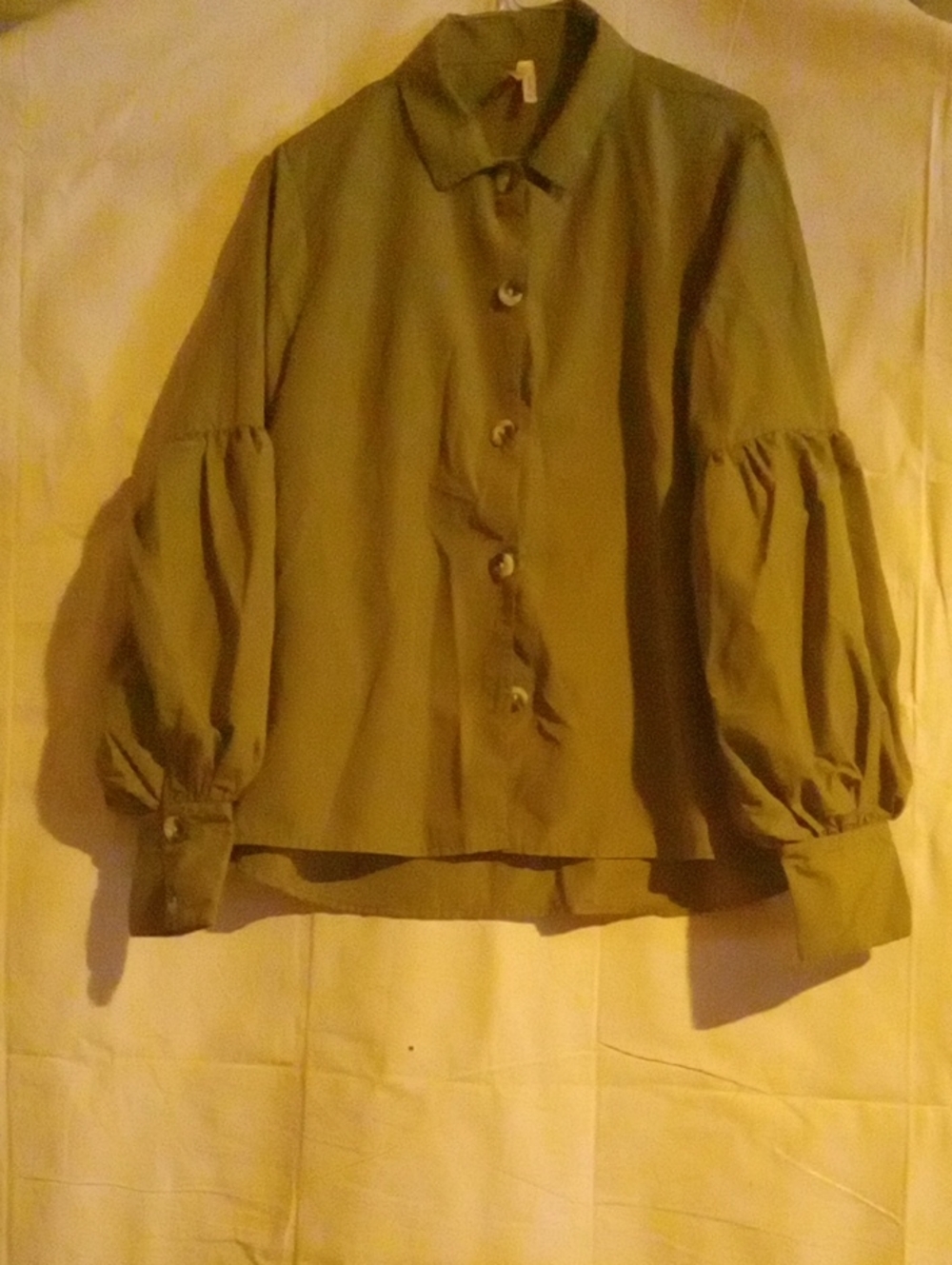 True Destiny Olive Green Puff Sleeve Button-Front Top